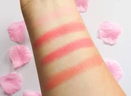 Technic Matte Mega Blush Palette - Image 2